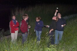 Vliegende zoogdieren in Eendenkooi ‘t Zand