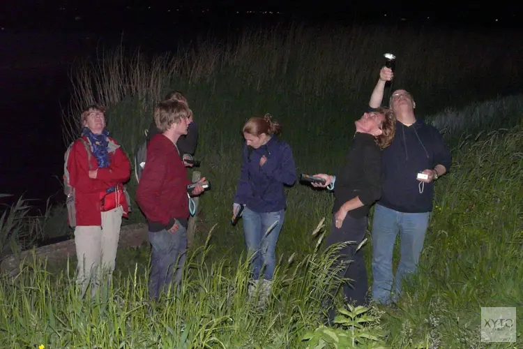 Vliegende zoogdieren in Eendenkooi ‘t Zand