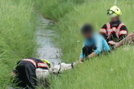 Paard te water in Schagen