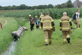 Paard te water in Schagen
