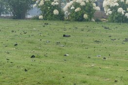 Schade goed zichtbaar na brand in &#39;t Veld