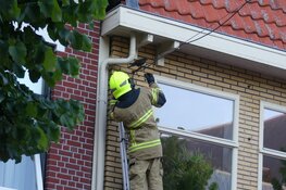 Brandweer ingeschakeld voor vastzittende vogel