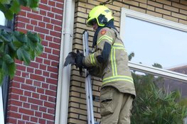 Brandweer ingeschakeld voor vastzittende vogel
