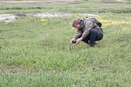 Zwerftocht door duingebied Botgat bij Groote Keeten
