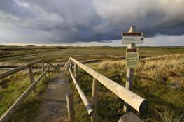 Geen toegang voor ecologen vakantiepark in duingebied Groote Keeten