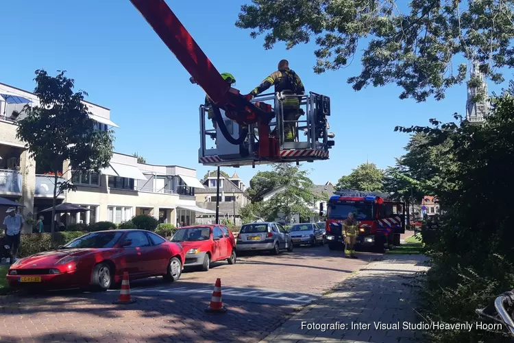 Kat springt zelf uit boom na komst hoogwerker