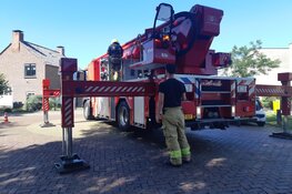 Kat springt zelf uit boom na komst hoogwerker