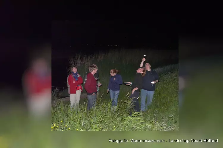 Avondexcursie in Wildrijk, op zoek naar vleermuizen
