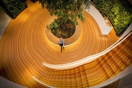 Houtkunstenaar uit Schagen wint Vakwerk Awards