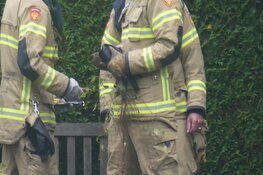 Vogel vast in boom in Schagen