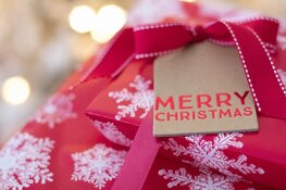 Een kerst als nooit tevoren...of wordt het de meest gedenkwaardige kerst ooit?