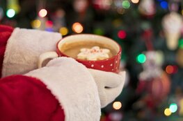 Een kerst als nooit tevoren...of wordt het de meest gedenkwaardige kerst ooit?