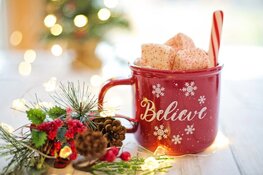 Een kerst als nooit tevoren...of wordt het de meest gedenkwaardige kerst ooit?