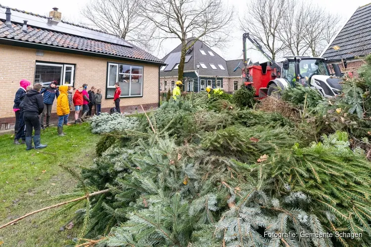 2000 kerstbomen opgehaald voor Charley
