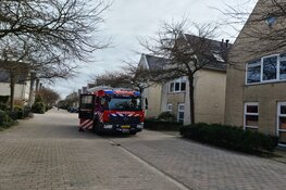 Brandweer komt op vreemde lucht af op Dreef