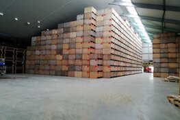 Herbouw Wit Flowerbulbs vordert gestaag!