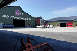 Herbouw Wit Flowerbulbs vordert gestaag!