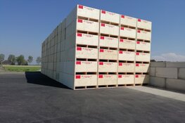 Herbouw Wit Flowerbulbs vordert gestaag!