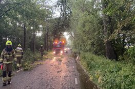 Boom op weg gewaaid en wegen afgesloten bij Anna Paulowna