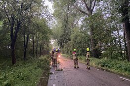 Boom op weg gewaaid en wegen afgesloten bij Anna Paulowna