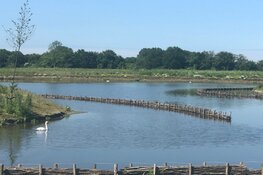 Veel belangstelling voor rondleiding op Natuurbegraafplaats Geestmerloo