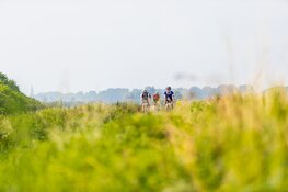 'n Skoftig mooi tochie: jubileumeditie Ronde van de Westfriese Omringdijk een groot succes!
