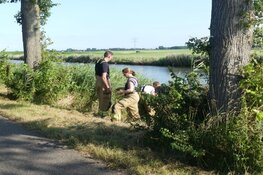 Brandweer redt schaap uit het water in Schagen