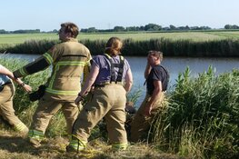 Brandweer redt schaap uit het water in Schagen