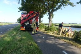 Brandweer redt schaap uit het water in Schagen