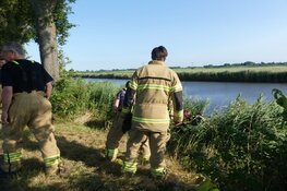 Brandweer redt schaap uit het water in Schagen