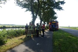 Brandweer redt schaap uit het water in Schagen