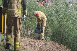 Prullenbak langs de weg in Schagen vat vlam
