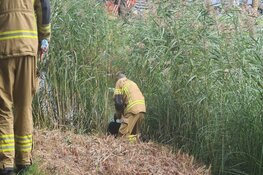 Prullenbak langs de weg in Schagen vat vlam