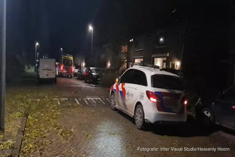 Politie zoekt getuigen van steekincident