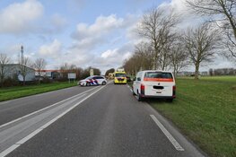 Struisvogel veroorzaakt ongeluk op de Schagerweg in Dirkshorn