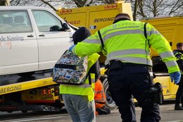 Struisvogel veroorzaakt ongeluk op de Schagerweg in Dirkshorn