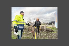 Gratis bomen voor inwoners