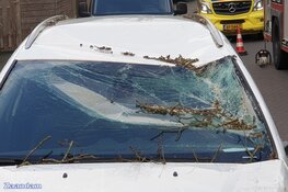 Fotoalbum: Noord-Holland in de greep van storm Eunice