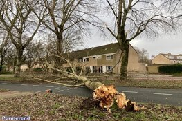 Fotoalbum: Noord-Holland in de greep van storm Eunice