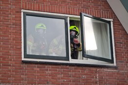 Rookontwikkeling door verfbranden