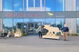 De eland is gespot in Schagen!