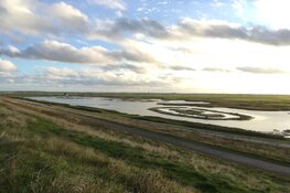 Bescherm de broedvogels in de Harger en Pettemerpolder
