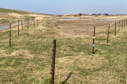Bescherm de broedvogels in de Harger en Pettemerpolder