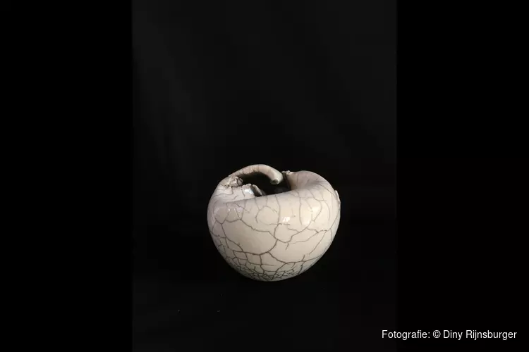 Kunstexpositie in bibliotheek van Tuitjenhorn