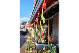 23 & 24 april Schagen bloemenstad