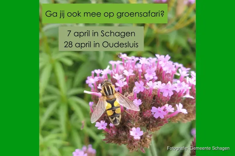 Ga jij ook mee op Groensafari?