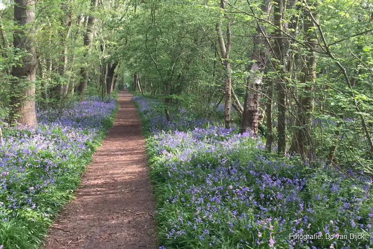Bezoek de open dag van het bosgebiedje Wildrijk