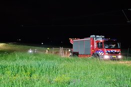 Brandweer haalt koe uit de sloot in Schagen