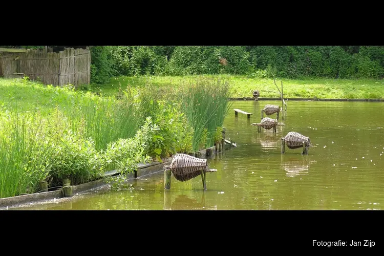 Open dag Eendenkooi 't Zand