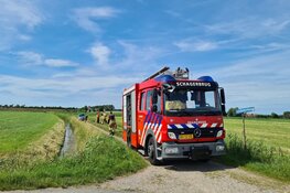 Paard en ruiter te water in Schagen